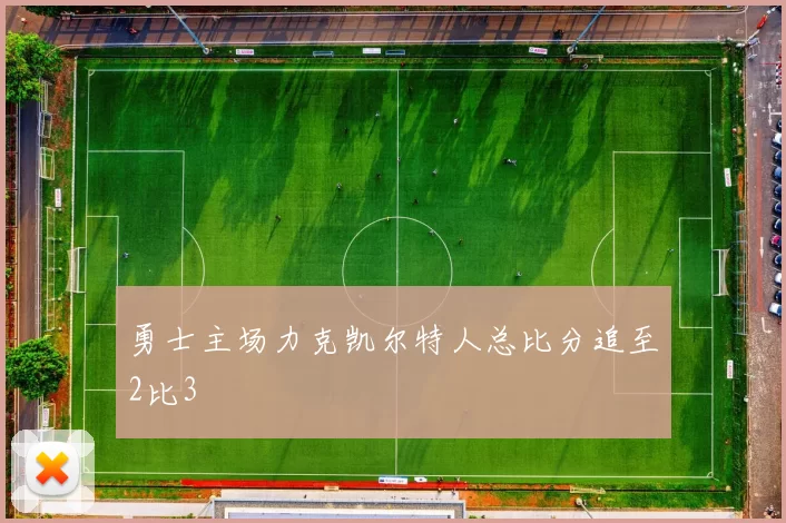 勇士主场力克凯尔特人总比分追至2比3