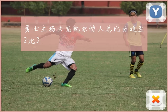 勇士主场力克凯尔特人总比分追至2比3