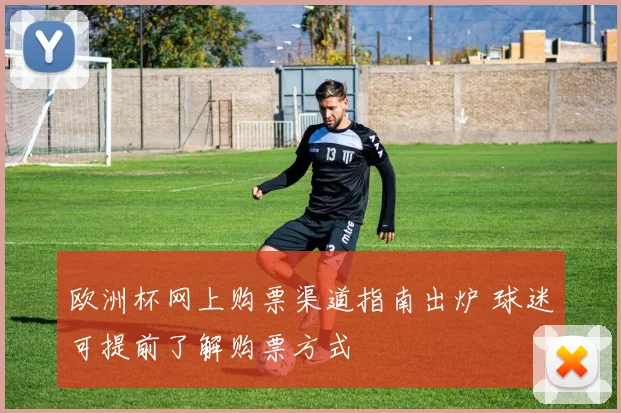 欧洲杯网上购票渠道指南出炉 球迷可提前了解购票方式