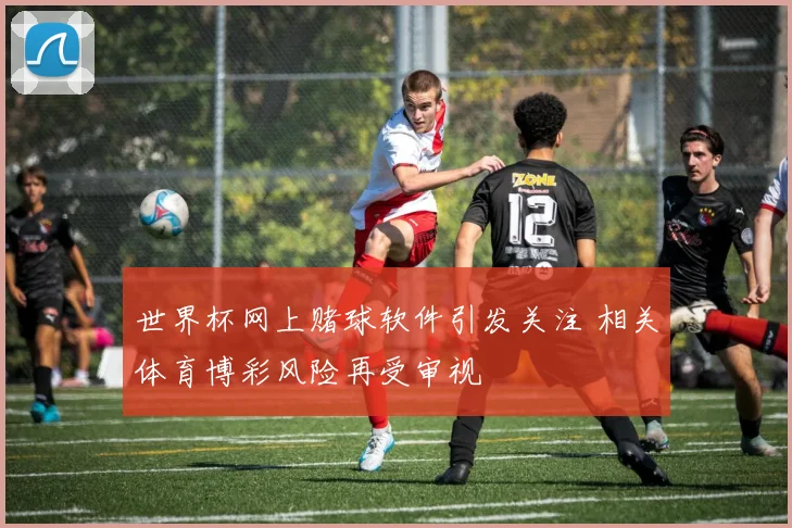世界杯网上赌球软件引发关注 相关体育博彩风险再受审视
