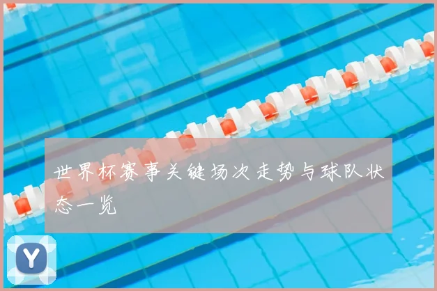 世界杯赛事关键场次走势与球队状态一览