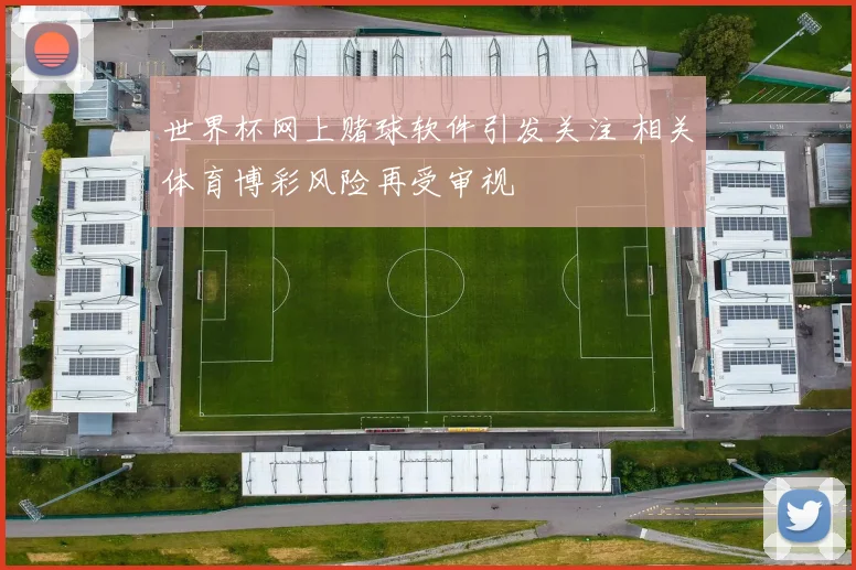 世界杯网上赌球软件引发关注 相关体育博彩风险再受审视