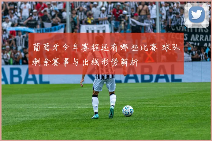 葡萄牙今年赛程还有哪些比赛 球队剩余赛事与出线形势解析